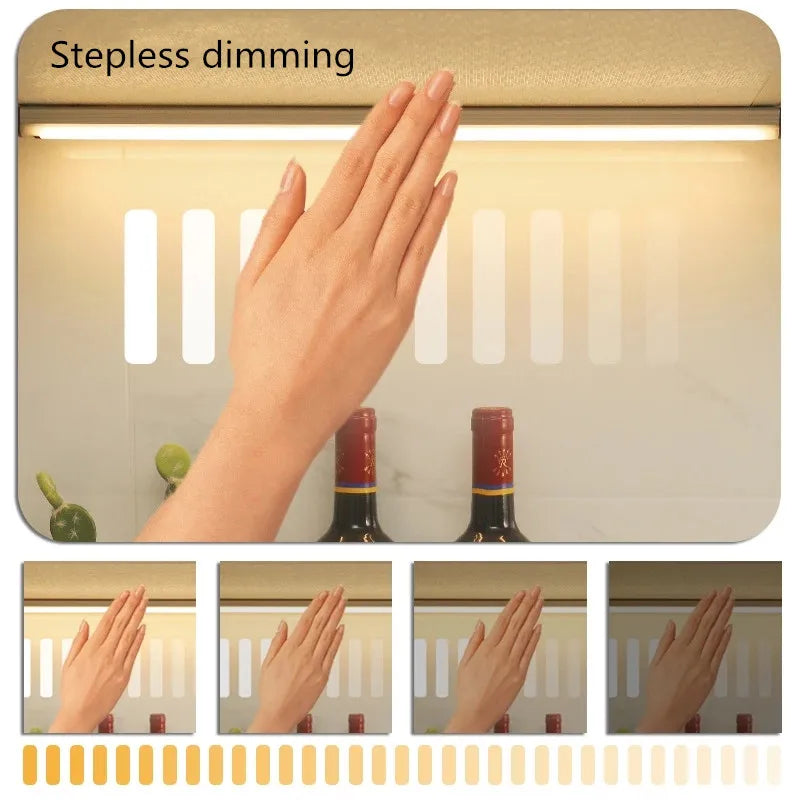 Wireless Induction LED Lamp