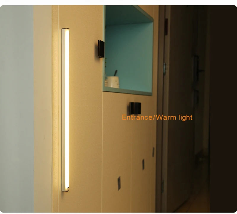 Wireless Induction LED Lamp