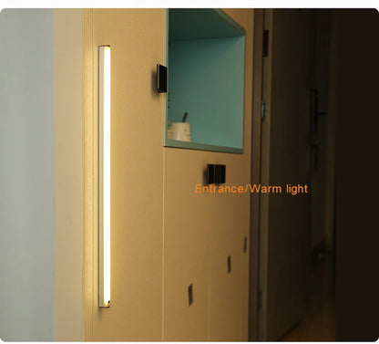 Wireless Induction LED Lamp