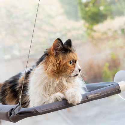 Hamaca Colgante para Gatos Catlax – HOMERLY