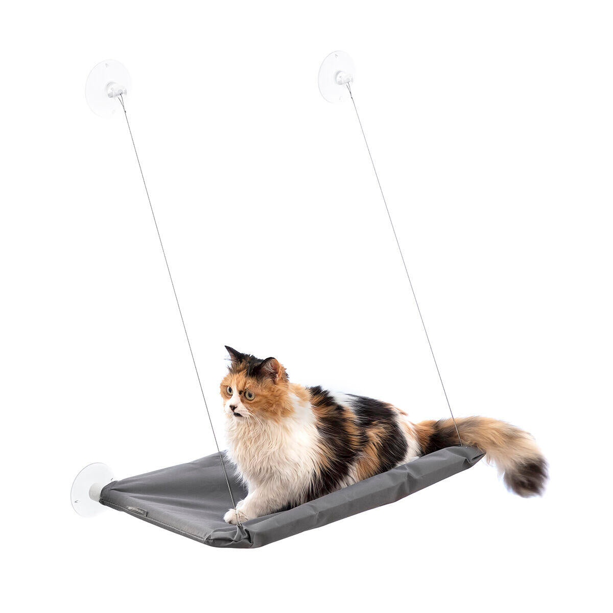 Hamaca Colgante para Gatos Catlax – HOMERLY